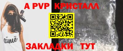 стаф Будённовск